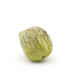 Sculptures | FIGUE VERTE