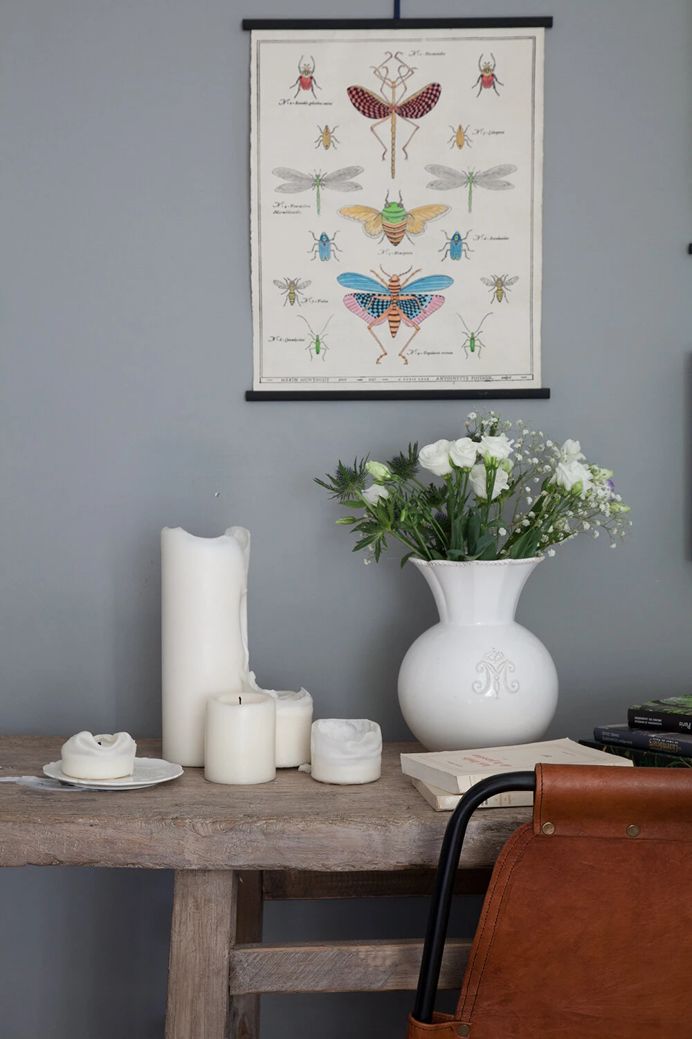 Planche Murale | LES INSECTES 6 Planche Murale | LES INSECTES – Image 6