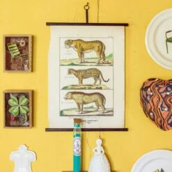 Petite Vitrine à Merveilles | CHAISE DU LUXEMBOURG 12 Petite Vitrine à Merveilles | CHAISE DU LUXEMBOURG -Atelier Élégance Pas Cher Magasin Marin2BMontagut2BCampagne25C225A9RomainRicard 29