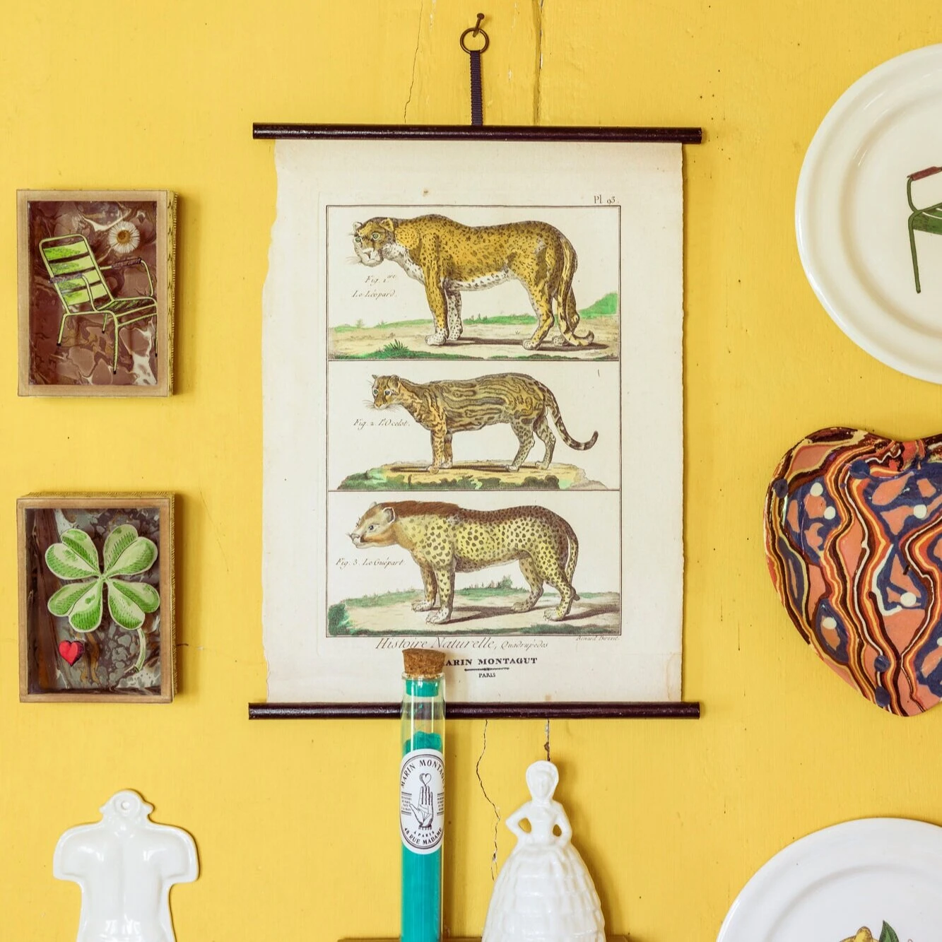 Petite Vitrine à Merveilles | CHAISE DU LUXEMBOURG 5 Petite Vitrine à Merveilles | CHAISE DU LUXEMBOURG – Image 5