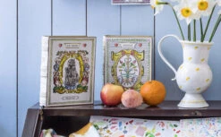 Livre à Secrets | LE CHAT MÉDAILLON -Atelier Élégance Pas Cher Magasin MarinMontagutC2A9RomainRicard 300dpi 11 rec 2