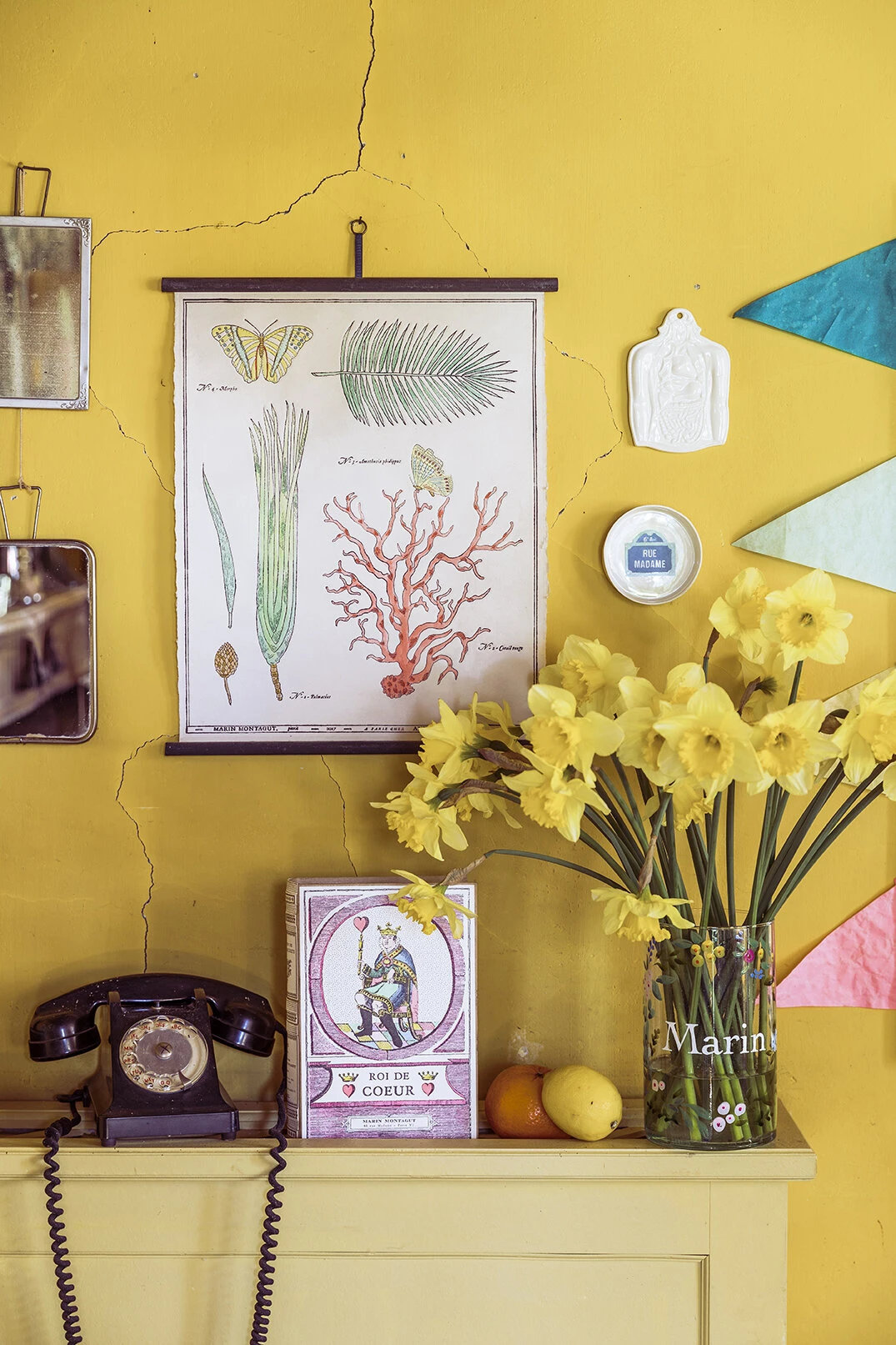 Planche Murale | CORAIL ET VÉGÉTAUX 2 Planche Murale | CORAIL ET VÉGÉTAUX – Image 2