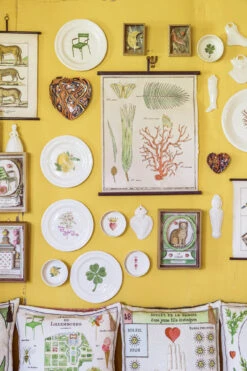 Planche Murale | CORAIL ET VÉGÉTAUX 7 Planche Murale | CORAIL ET VÉGÉTAUX -Atelier Élégance Pas Cher Magasin MarinMontagutCampagneC2A9RomainRicard 26