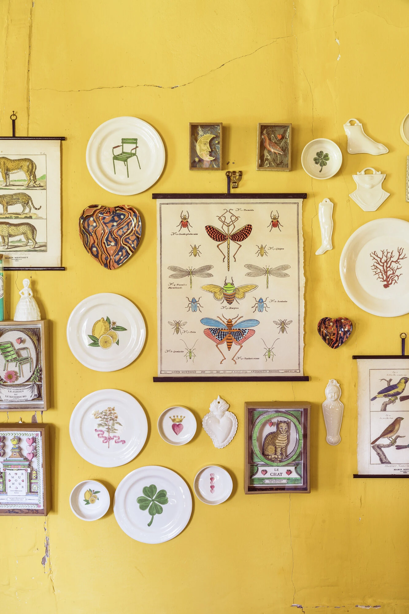 Planche Murale | LES INSECTES 2 Planche Murale | LES INSECTES – Image 2