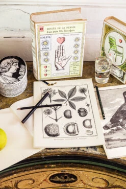 FIGURES DU XVIIIe, Tome 1 | Carnet・notebook/sketchbook -Atelier Élégance Pas Cher Magasin MarinMontagutNormandieC2A9RomainRicard177