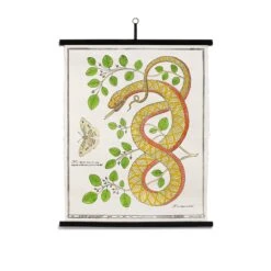 Planche Murale | LE SERPENT ET LE PAPILLON