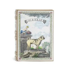 Livre à Secrets | LE CARLIN