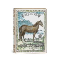 Livre à Secrets | LE CHEVAL