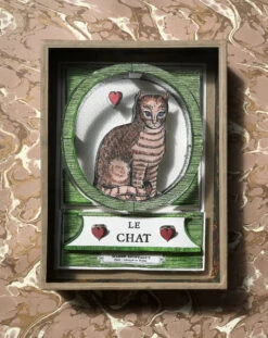 Vitrine à Merveilles | LE CHAT COEUR -Atelier Élégance Pas Cher Magasin Vitrine LeChat small