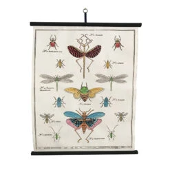 Planche Murale | LES INSECTES