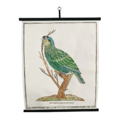 Planche Murale | LE PERROQUET