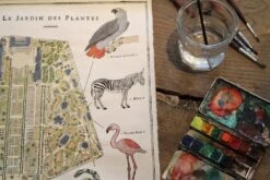 Planche Murale | LE JARDIN DES PLANTES -Atelier Élégance Pas Cher Magasin marin montagut IMG 4368